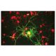 NF-M Antibody (3H11) - Immunofluorescence - Image 67336