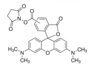 NHS-5(6)Carboxyrhodamine (CAS 150408-83-6) - chemical structure image