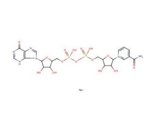 Nicotinamide hypoxanthine dinucleotide sodium salt (CAS 104809-38-3) - chemical structure image