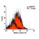 NKG2-D Antibody (1D11) - Flow Cytometry - Image 9502