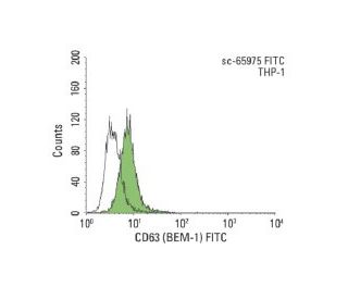 CD63 (BEM-1) FITC: sc-65975 FITC. FCM analysis of THP-1 cells. Black line histogram represents the isotype control, normal