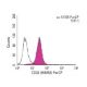 CD33 (WM53) PerCP: sc-51725 PerCP. FCM analysis of THP-1 cells. Black line histogram represents the isotype control, norma