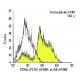 PCNA (PC10) AF488: sc-56 AF488. Intracellular FCM analysis of fixed and permeabilized HeLa cells. Black line histogram rep