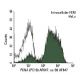 PCNA (PC10) AF647: sc-56 AF647. Intracellular FCM analysis of fixed and permeabilized HeLa cells. Black line histogram rep