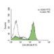 CD3 (RIV9): sc-52382. Indirect FCM analysis of human peripheral blood leukocytes stained with CD3 (RIV9), followed by FITC