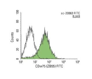 CDw75 (ZB55): sc-20063. Indirect FCM analysis of BJAB cells stained with CDw75 (ZB55), followed by FITC-conjugated goat an 