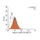 Integrin α4/b7 (DATK32) PE: sc-23920 PE. FCM analysis of TK-1 cells. Black line histogram represents the isotype control, 