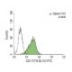 CD7 (YTH 30.15) FITC: sc-53844 FITC. FCM analysis of Jurkat cells. Black line histogram represents the isotype control, no 
