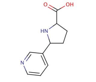 Nornicotine-2-carboxylic Acid (CAS 3562-11-6) - chemical structure image
