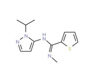 N&prime;-(1-isopropyl-1H-pyrazol-5-yl)-N-methylthiophene-2-carboximidamide - chemical structure image