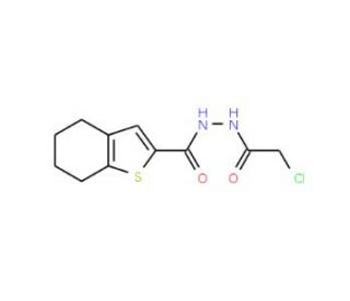 N&prime;-(2-chloroacetyl)-4,5,6,7-tetrahydro-1-benzothiophene-2-carbohydrazide - chemical structure image