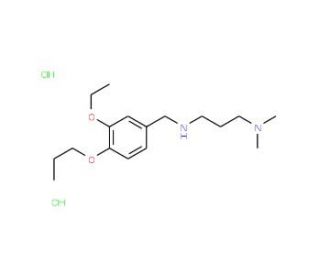 N&prime;-(3-Ethoxy-4-propoxy-benzyl)-N,N-dimethyl-propane-1,3-diamine dihydrochloride - chemical structure image