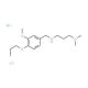 N′-(3-methoxy-4-propoxybenzyl)-N,N-dimethylpropane-1,3-diamine dihydrochloride (CAS 1049750-88-0) - chemical structure image