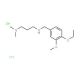 N′-(4-ethoxy-3-methoxybenzyl)-N,N-dimethylpropane-1,3-diamine dihydrochloride - chemical structure image