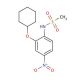 NS-398 (CAS 123653-11-2) - chemical structure image