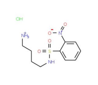 Ns-DAB*HCl (CAS 349553-74-8) - chemical structure image
