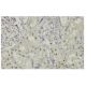 NYD-SP15 Antibody (3C8) - Immunohistochemistry - Image 35956