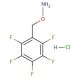 O-(2,3,4,5,6-Pentafluorobenzyl)hydroxylamine hydrochloride (CAS 57981-02-9) - chemical structure image