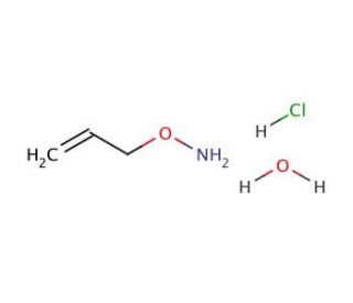 O-Allylhydroxylamine hydrochloride (CAS 38945-21-0) - chemical structure image
