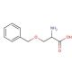 O-Benzyl-DL-serine (CAS 5445-44-3) - chemical structure image