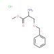 O-Benzyl-L-serine methyl ester hydrochloride (CAS 19525-87-2) - chemical structure image