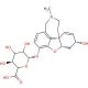 O-Desmethyl Galanthamine β-D-Glucuronide (CAS 464189-54-6) - chemical structure image