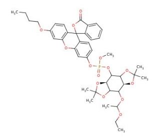 O-Methyl-O-(N-Butylfluorescein)-O-{3-[6-O-(D,L-1-ethoxyethyl)-1,2:4,5-bis-O-(1-methylethylidene)-D,L-myo-inositol]}phosphate