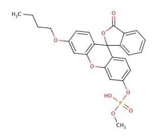 O-Methyl-O-(N-Butylfluorescein)phosphate (CAS 887406-94-2) - chemical structure image