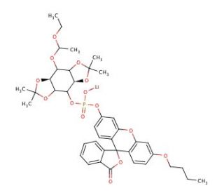 O-(N-Butylfluorescein)-O-{3-[6-O-(D,L-1-ethoxyethyl)-1,2:4,5-bis-O-(1-methylethylidene)-D,L-myo-inositol]}phosphate, Lithium