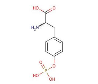 O-Phospho-L-tyrosine (CAS 21820-51-9) - chemical structure image