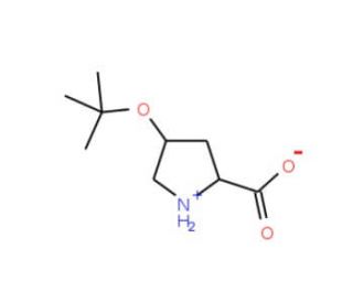 O-tert-Butyl-L-4-hydroxyproline (CAS 79775-07-8) - chemical structure image