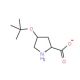 O-tert-Butyl-L-4-hydroxyproline (CAS 79775-07-8) - chemical structure image
