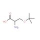 O-tert-Butyl-L-serine (CAS 18822-58-7) - chemical structure image