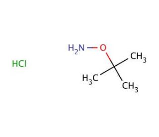 O-tert-Butylhydroxylamine hydrochloride (CAS 39684-28-1) - chemical structure image