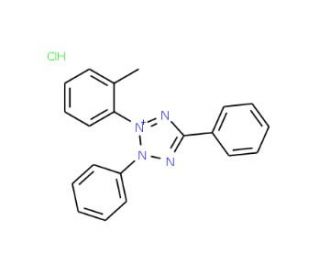 o-Tolyltetrazolium Red (CAS 33926-00-0) - chemical structure image