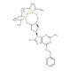 O6-Benzyl-8-bromo-N9-[3′,5′-O-(1,1,3,3-tetrakis(isopropyl)-1,3-disiloxanediyl)-β-D-2′-deoxyribofuranosyl]guanine (CAS 328394-