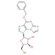 O6-Benzyl-N2,3-etheno Guanosine (CAS 108060-84-0) - chemical structure image