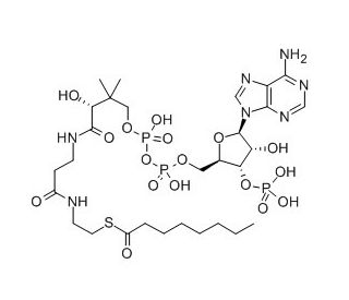 Octanoyl coenzyme A (CAS 1264-52-4) - chemical structure image