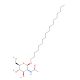 Octyldecyl 2-acetamido-2-deoxy-b-D-glucopyranoside (CAS 173725-29-6) - chemical structure image