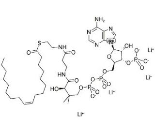 Oleoyl coenzyme A lithium salt (CAS 188824-37-5) - chemical structure image