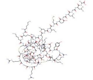 &omega;-Agatoxin IVA (CAS 145017-83-0) - chemical structure image