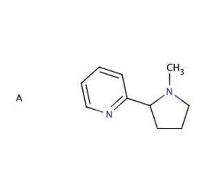 (&plusmn;)-ortho-Nicotine Diperchlorate (CAS 147663-86-3) - chemical structure image