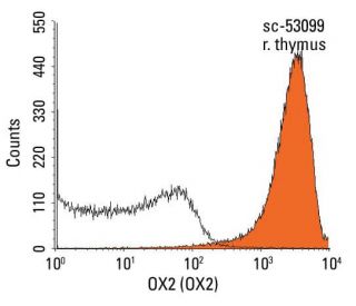 OX2 Antibody (OX2) - Flow Cytometry - Image 14427