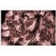 OXA1L Antibody (12) - Immunofluorescence - Image 60653 