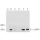 p-53BP1 Antibody (38.Ser 25) - Western Blotting - Image 144630 