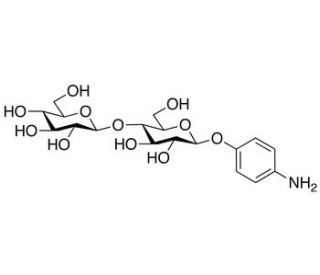 p-Aminophenyl &beta;-D-Cellobioside (CAS 42935-24-0) - chemical structure image