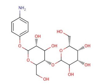 p-Aminophenyl &beta;-D-Lactopyranoside (CAS 17691-02-0) - chemical structure image