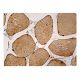 p-LKB1 Antibody (C-1) - Immunohistochemistry - Image 161045 