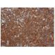 p-PKC delta Antibody (F-7) - Immunohistochemistry - Image 352959 