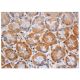 p-PKC delta Antibody (F-7) - Immunohistochemistry - Image 352960 